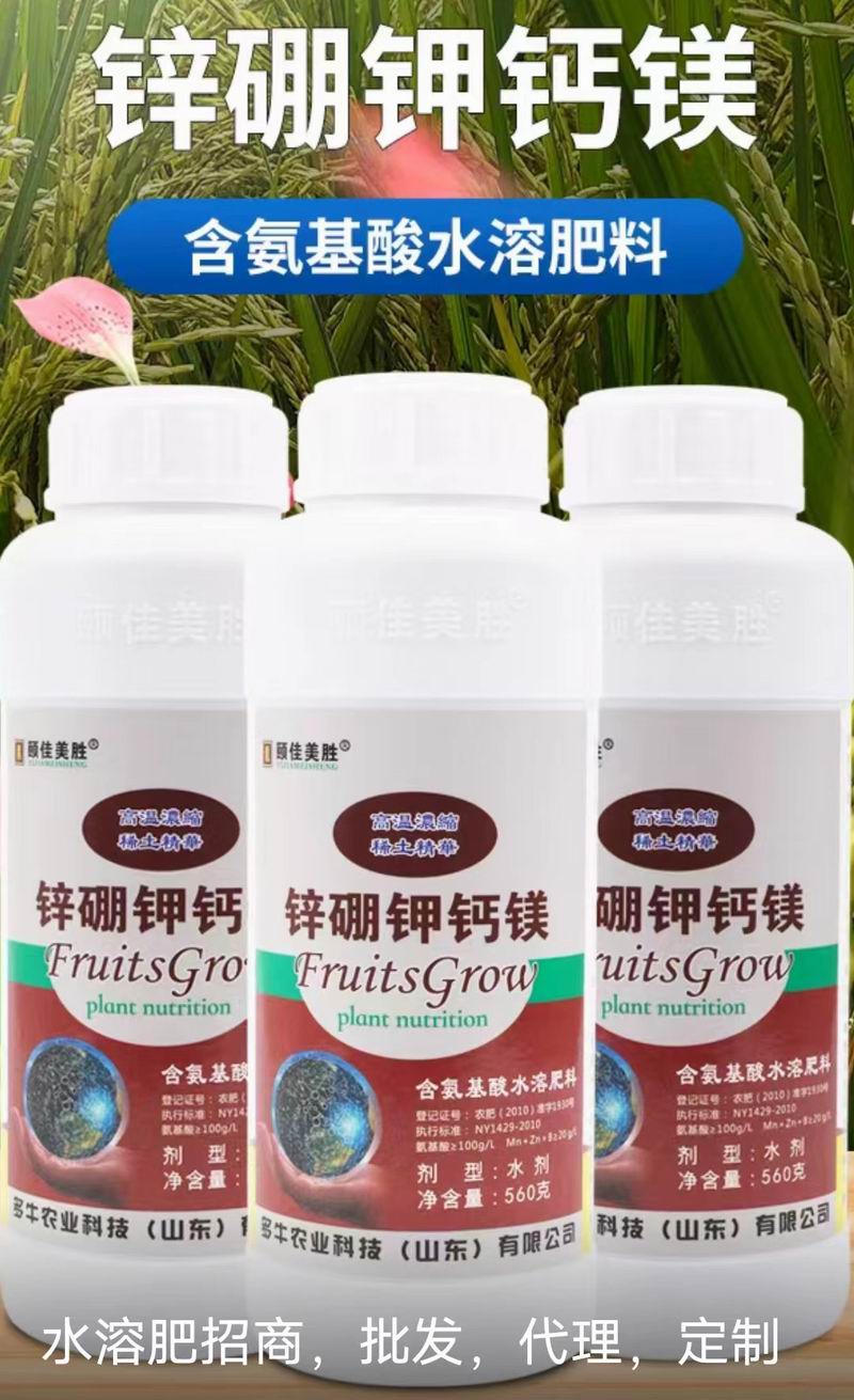 鋅硼鉀鈣鎂