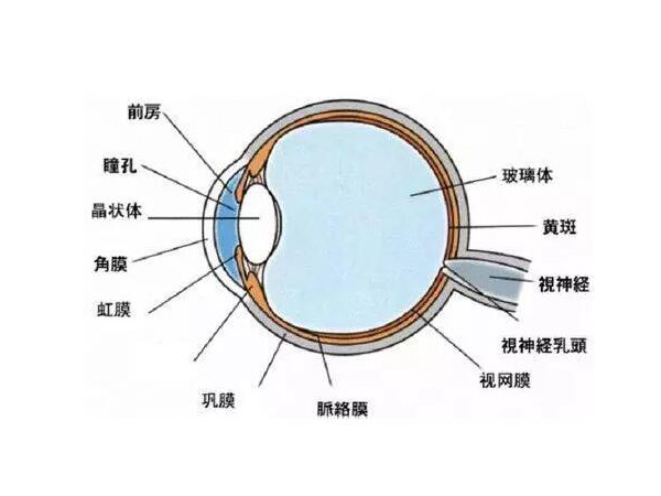 小心！高溫性眼灼傷