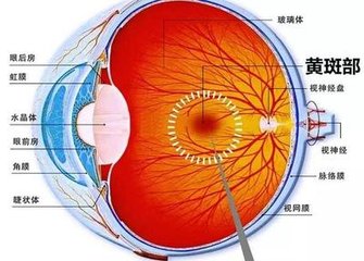 【科普】老年性黃斑變性可以治好嗎？